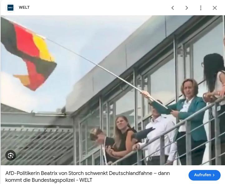 Bundestag Nationalflagge Beatrice von Storch