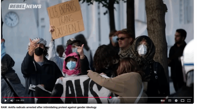 Stinkefinger sind das Aushängeschild der idiotischen linken Spinner.
